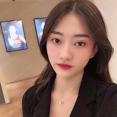 七星龙珠满vip版下载