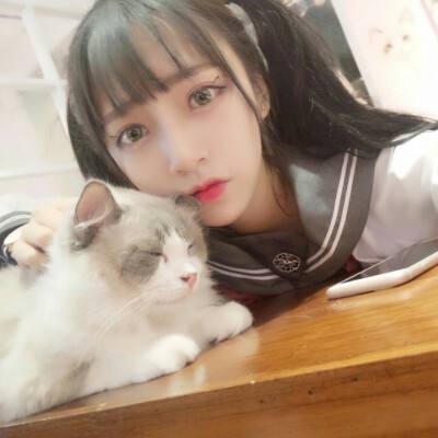 7433破解游戏盒子下载